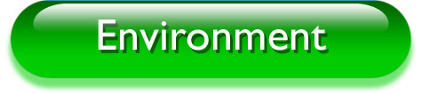 ISO Management Systems Implementation by BonTrack Solutions - ISO 14001 Environmental Management Systems
