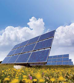 ISO Management Systems Implementation by BonTrack Solutions - ISO 14001 Environmental Management Systems